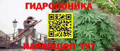 ECSTASY Нягань