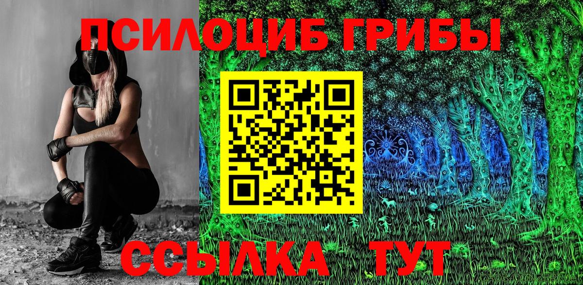 Тула  Галлюциногенные грибы GOLDEN TEACHER  где продают   Псилоцибиновые грибы ЛСД  Вход с VPN 